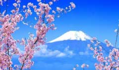 樱花日语我留学日本选择了樱花日语完全没让父母操心