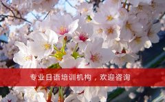 樱花日语2022樱花国际日语一对一收费标准