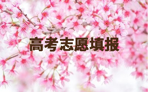 樱花日语