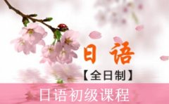 樱花日语上海日语培训机构推荐-樱花日语来袭