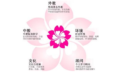 樱花日语,樱花日语培训,樱花国际日语