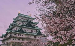 樱花日语想去日本留学有哪些方法?哪种方法比较好?