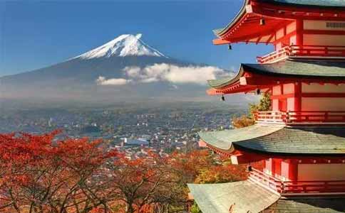 樱花国际日语,日本留学政策
