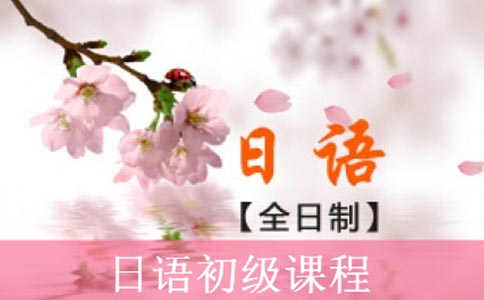 上海日语培训机构推荐-樱花日语来袭